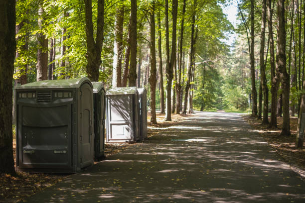 Best Affordable portable toilet rental  in Bylas, AZ